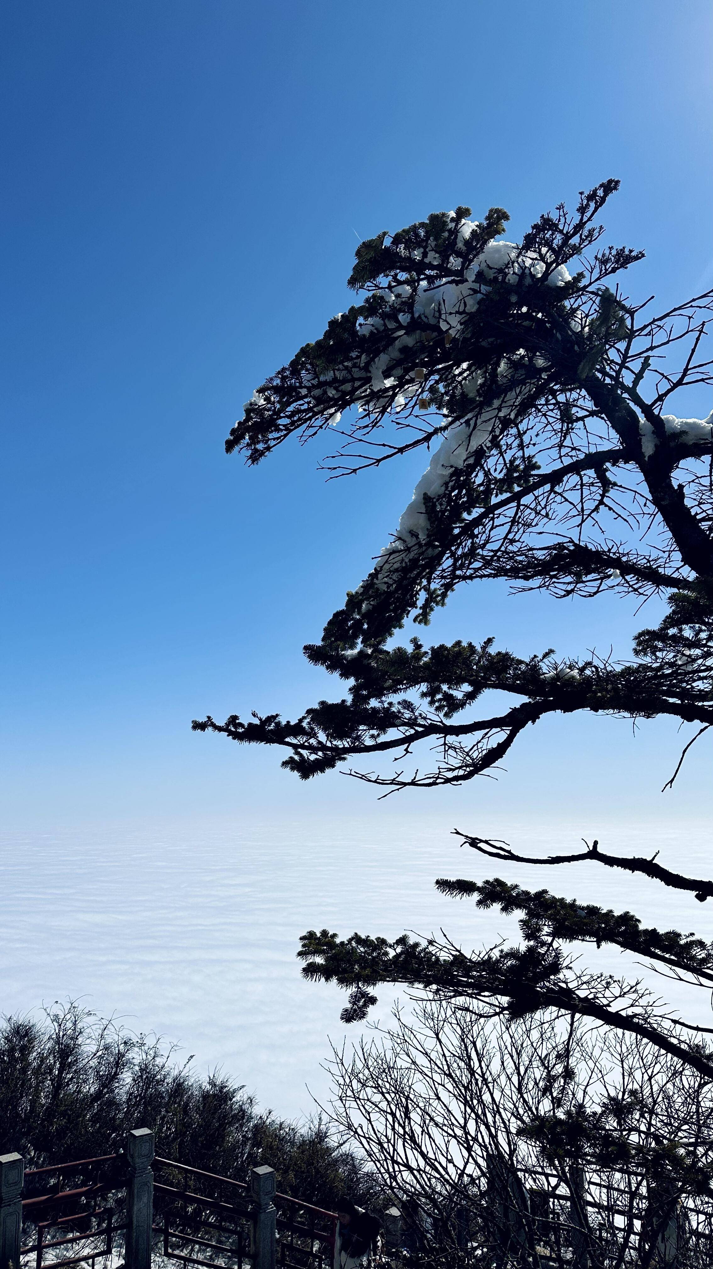 定制游导游推荐榜（真实好评）J9九游会2026 四川私人(图2)