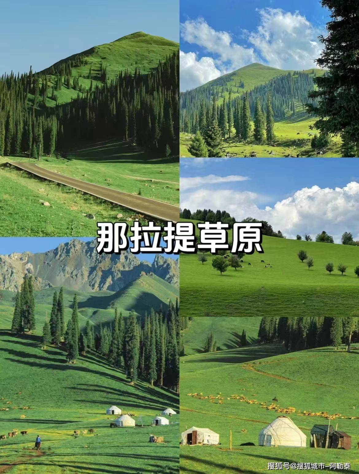 游享受高端旅行体验2025新疆最受欢迎的旅程j9九游会网址是什么说走就走！新疆轻奢跟团(图2)